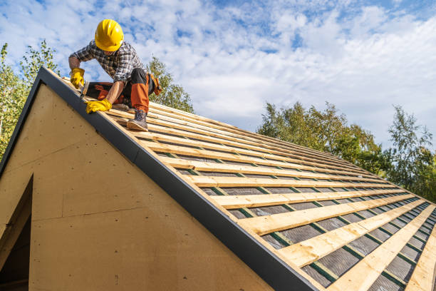 Best Roof Restoration Services  in Algoma, WI